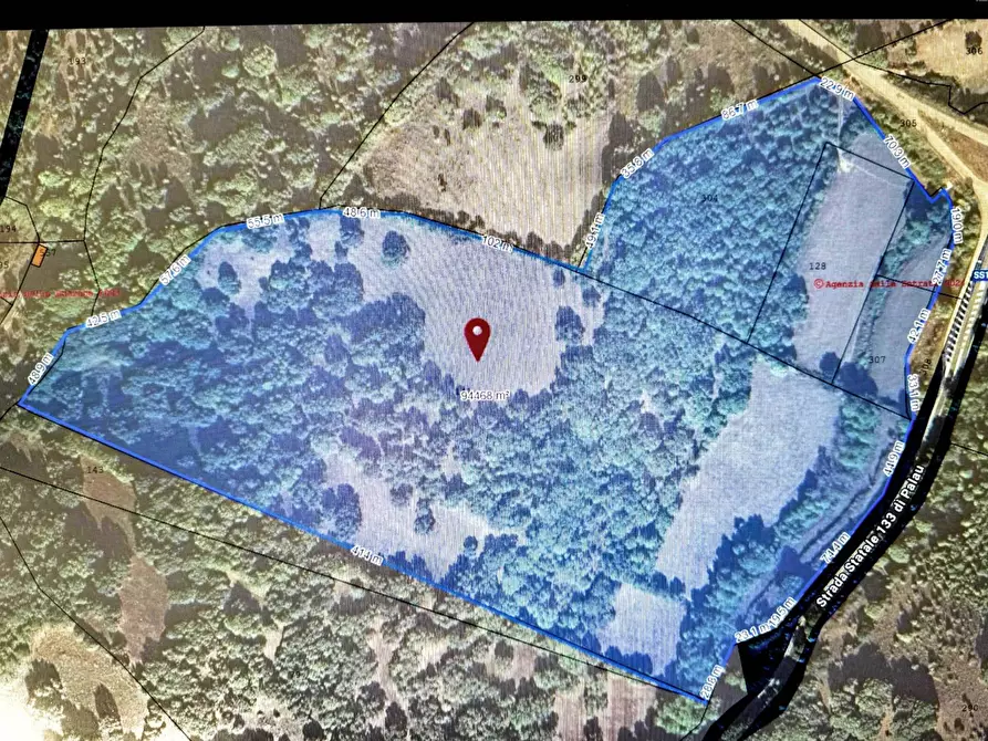 Immagine 5 di Agriturismo in vendita  a Luogosanto