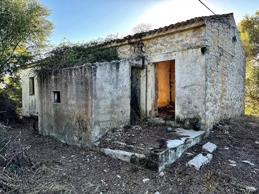 Immagine 1 di Rustico / casale in vendita  in Località Stazzo Ziu Malcu Austinu a Luogosanto