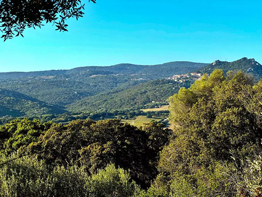 terreno agricolo in vendita a Luogosanto