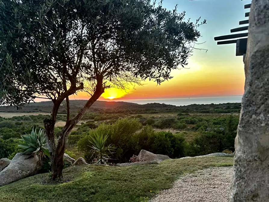 Immagine 6 di Villa in vendita  in Rena Majori a Aglientu