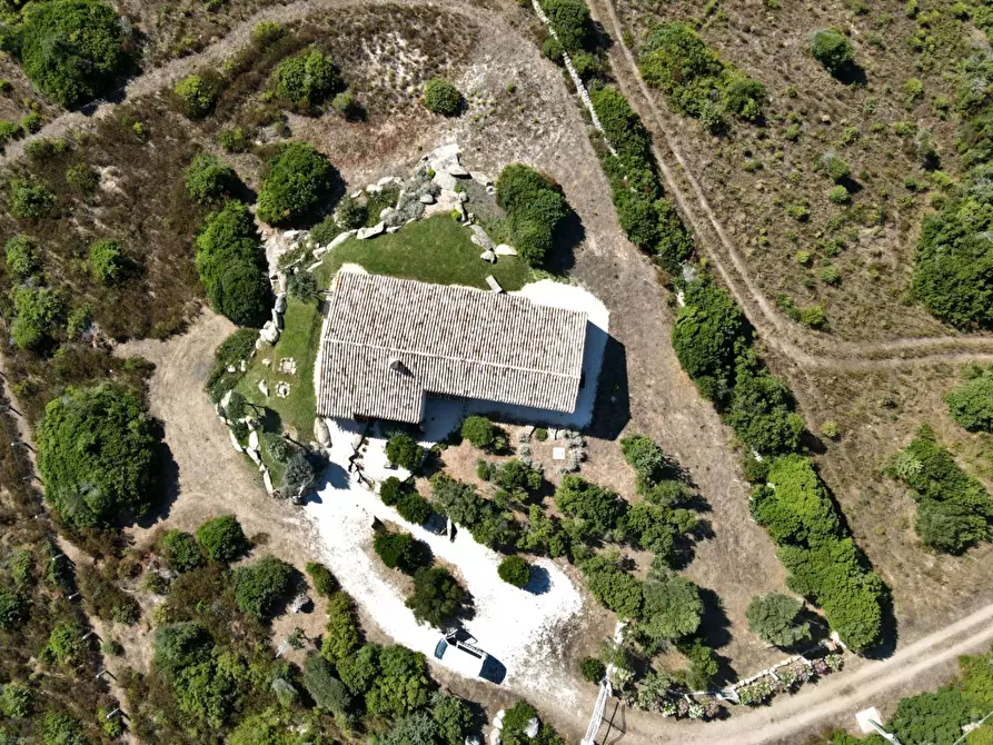 Immagine 3 di Villa in vendita  in Rena Majori a Aglientu