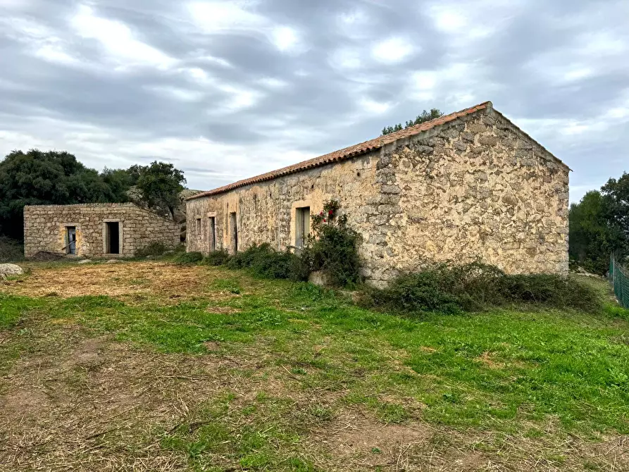 Immagine 1 di Terreno agricolo in vendita  a Luogosanto