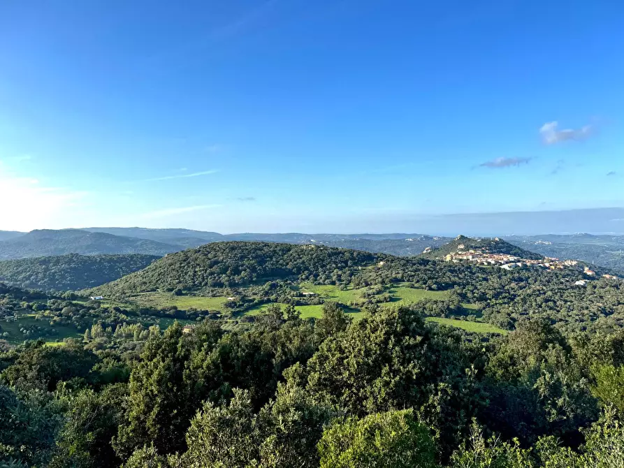 Immagine 1 di Terreno residenziale in vendita  a Luogosanto