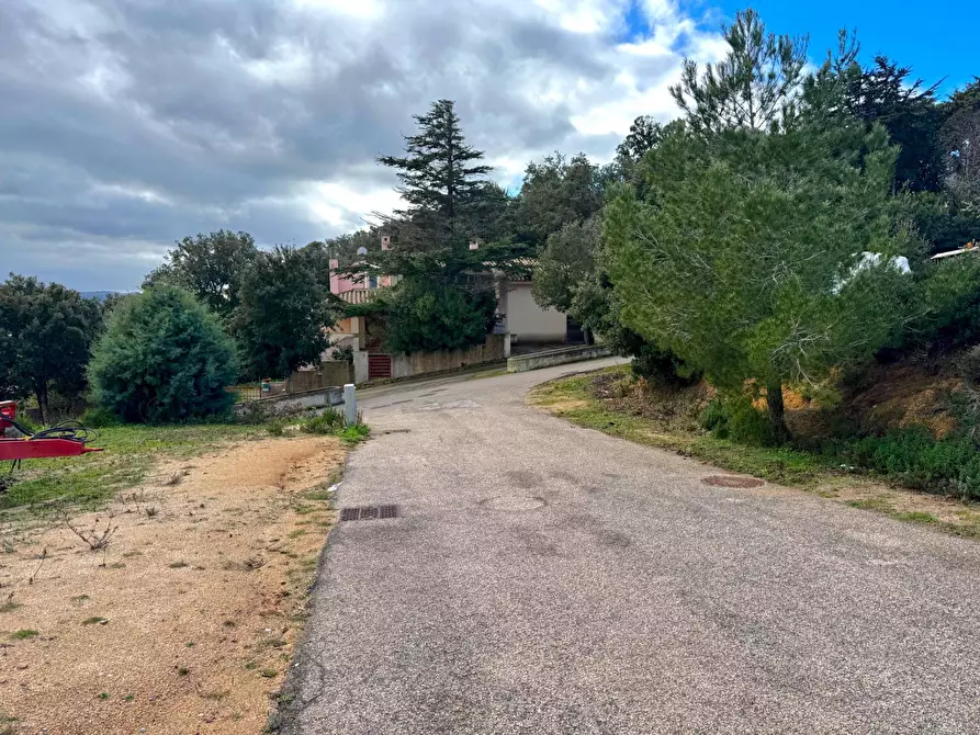 Immagine 8 di Terreno residenziale in vendita  in PAGGIOLU a Aglientu