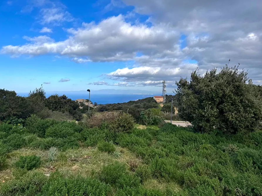 Immagine 9 di Terreno residenziale in vendita  in PAGGIOLU a Aglientu
