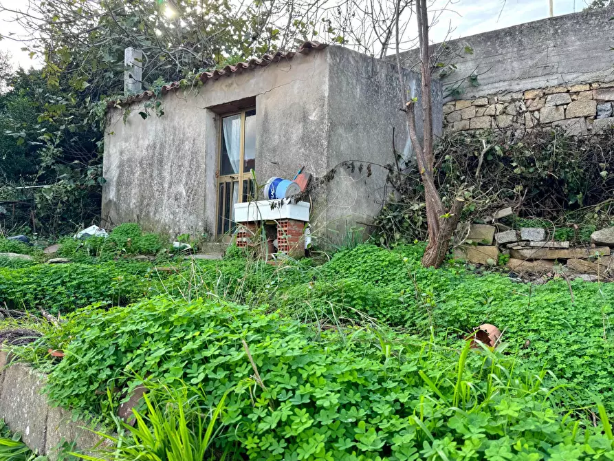 Immagine 9 di Casa indipendente in vendita  in VIA GARIBALDI a Luogosanto
