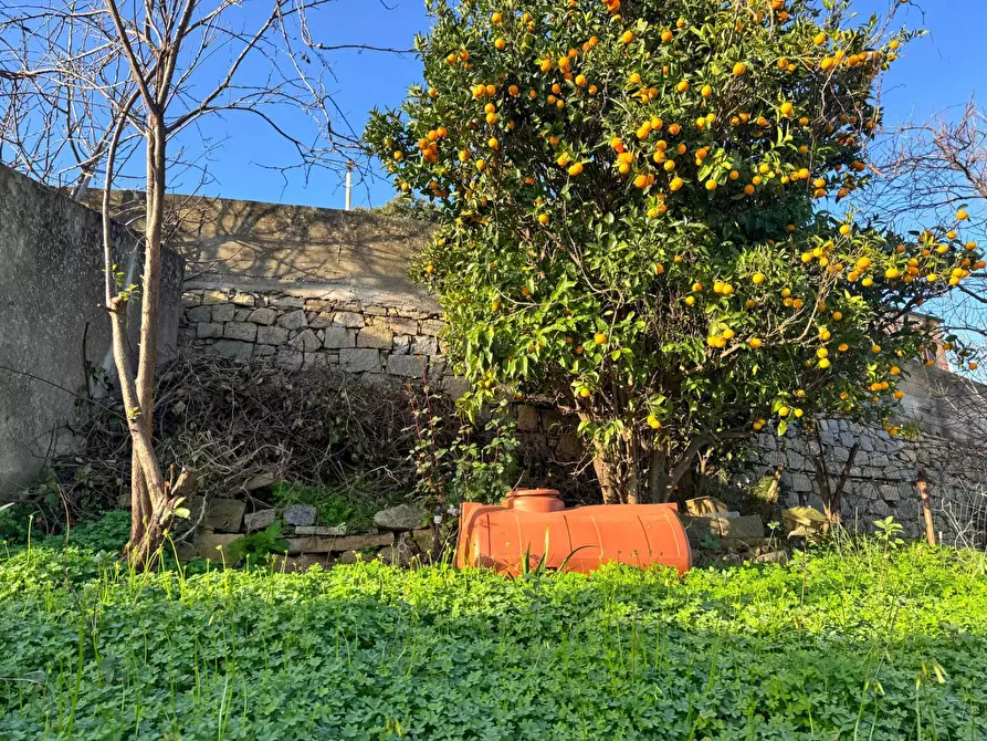 Immagine 11 di Casa indipendente in vendita  in VIA GARIBALDI a Luogosanto