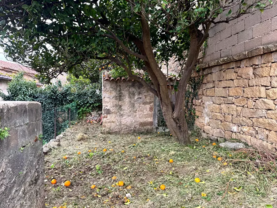 Immagine 24 di Casa indipendente in vendita  in VIA VITTORIO EMANUELE a Luogosanto