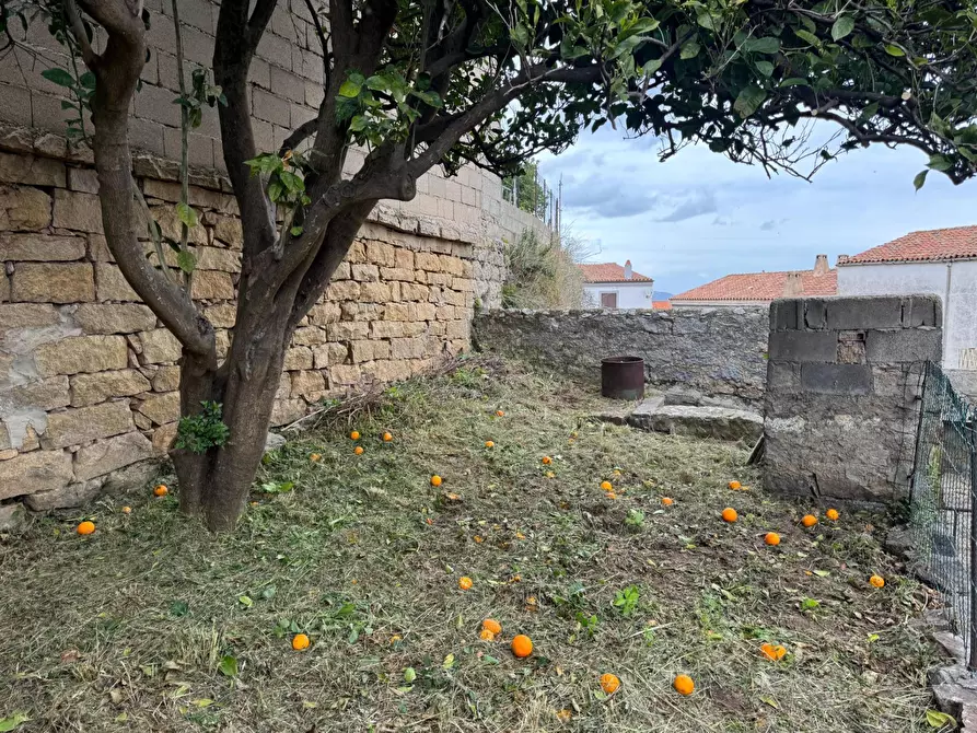 Immagine 25 di Casa indipendente in vendita  in VIA VITTORIO EMANUELE a Luogosanto