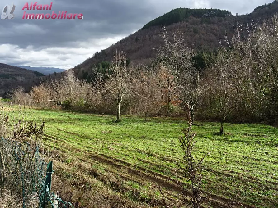 Immagine 7 di Casa semindipendente in vendita  in Pagliericcio a Castel San Niccolò