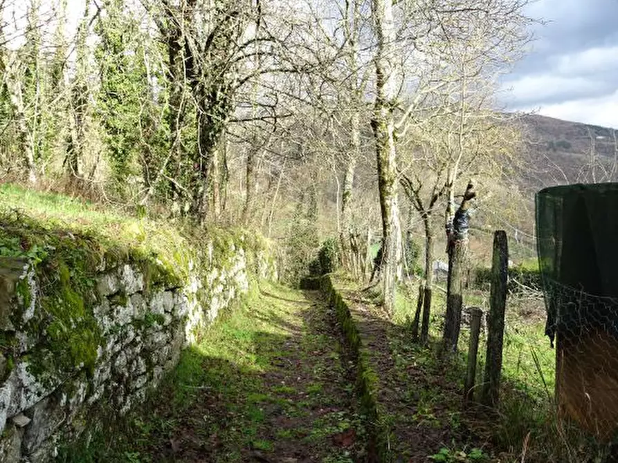 Immagine 13 di Casa semindipendente in vendita  in Pagliericcio a Castel San Niccolò