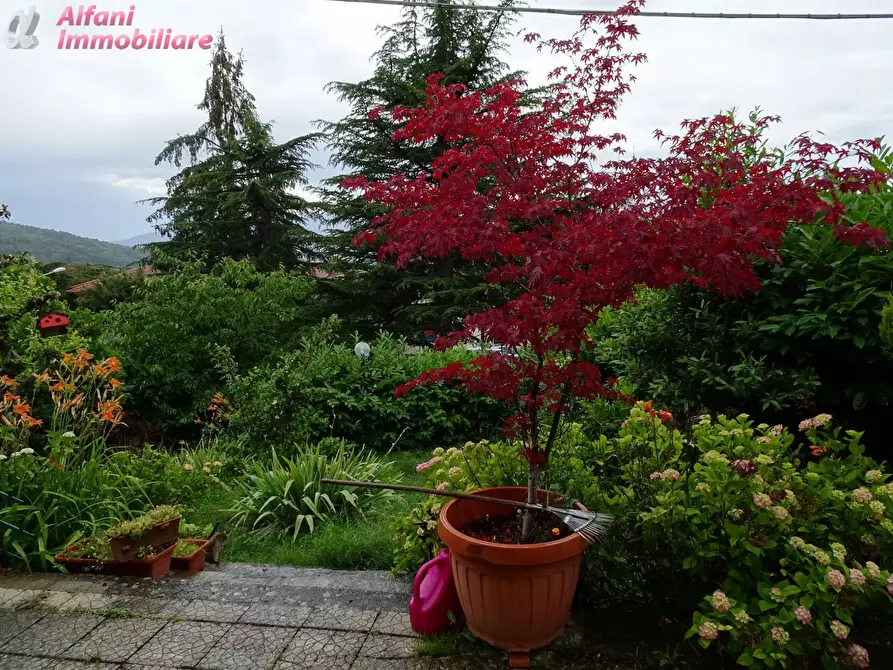 Immagine 21 di Casa semindipendente in vendita  in Loc. Dama a Chiusi Della Verna