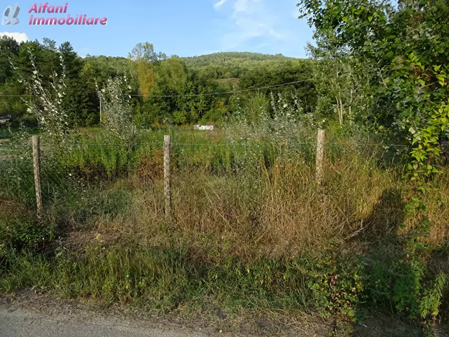 Immagine 2 di Terreno residenziale in vendita  in LOC. MARCIANO a Bibbiena