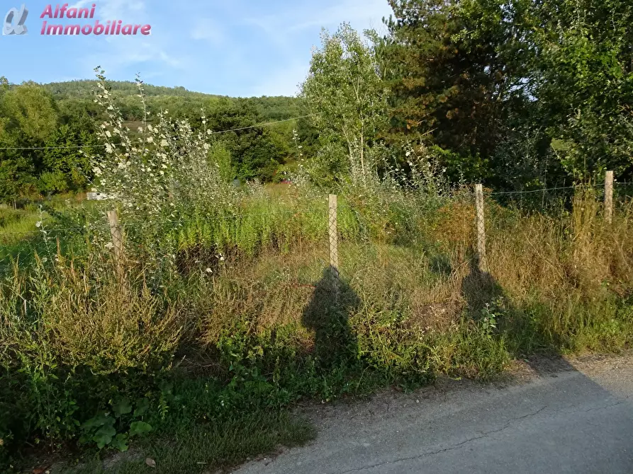 Immagine 3 di Terreno residenziale in vendita  in LOC. MARCIANO a Bibbiena