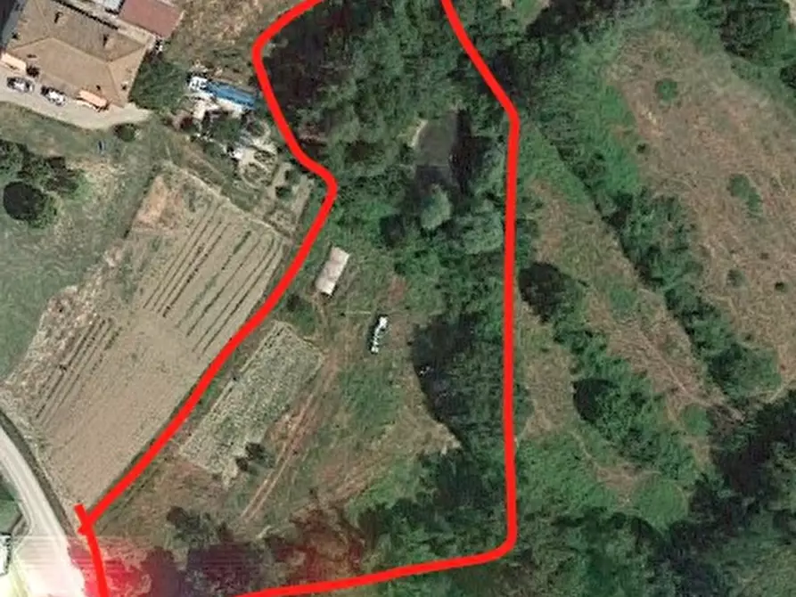 Immagine 4 di Terreno residenziale in vendita  in LOC. MARCIANO a Bibbiena