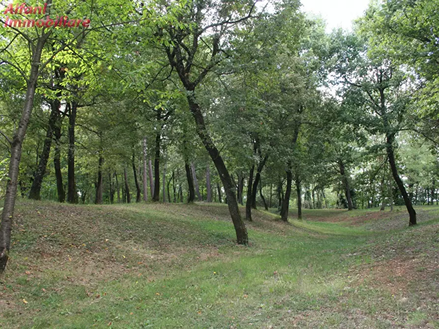 Immagine 28 di Villa in vendita  a Bibbiena