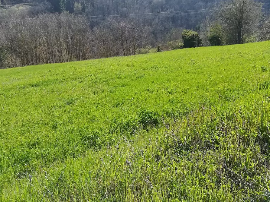 Immagine 2 di Terreno residenziale in vendita  in Loc.Pescaia a Pratovecchio Stia