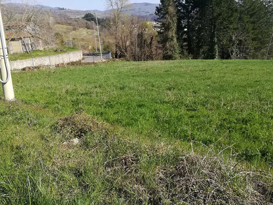 Immagine 3 di Terreno residenziale in vendita  in Loc.Pescaia a Pratovecchio Stia