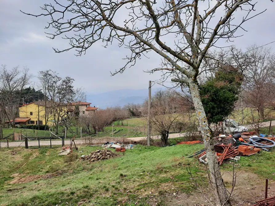 Immagine 3 di Terreno residenziale in vendita  in Loc. Lonnano a Pratovecchio Stia