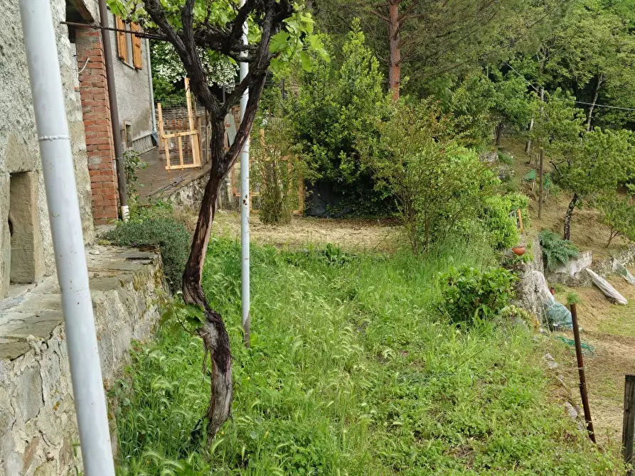 Immagine 23 di Casa semindipendente in vendita  in Loc. Vertelli a Castel San Niccolò
