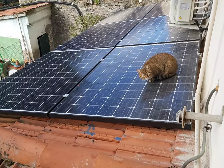 Immagine 3 di Appartamento in vendita  in PIAZZA PAOLO UCCELLO a Pratovecchio Stia