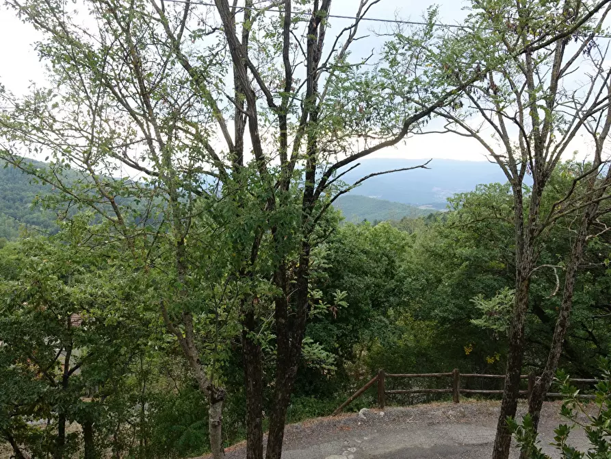 Immagine 17 di Villa in vendita  in località Dama a Chiusi Della Verna