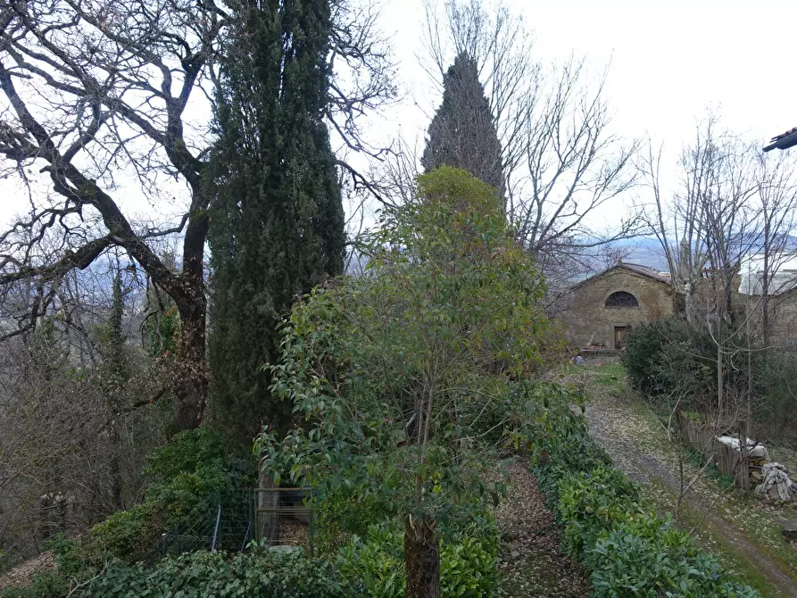 Immagine 6 di Villa in vendita  in Località Filetto a Poppi