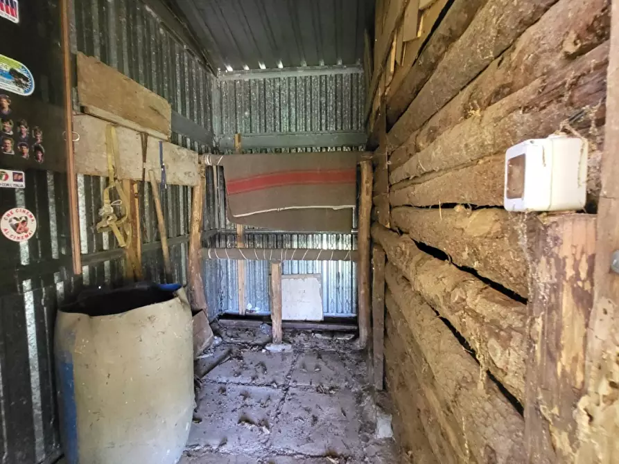 Immagine 4 di Terreno agricolo in vendita  in località compito a Chiusi Della Verna