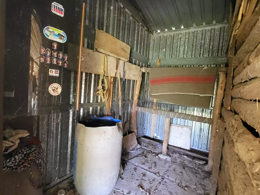 Immagine 5 di Terreno agricolo in vendita  in località compito a Chiusi Della Verna