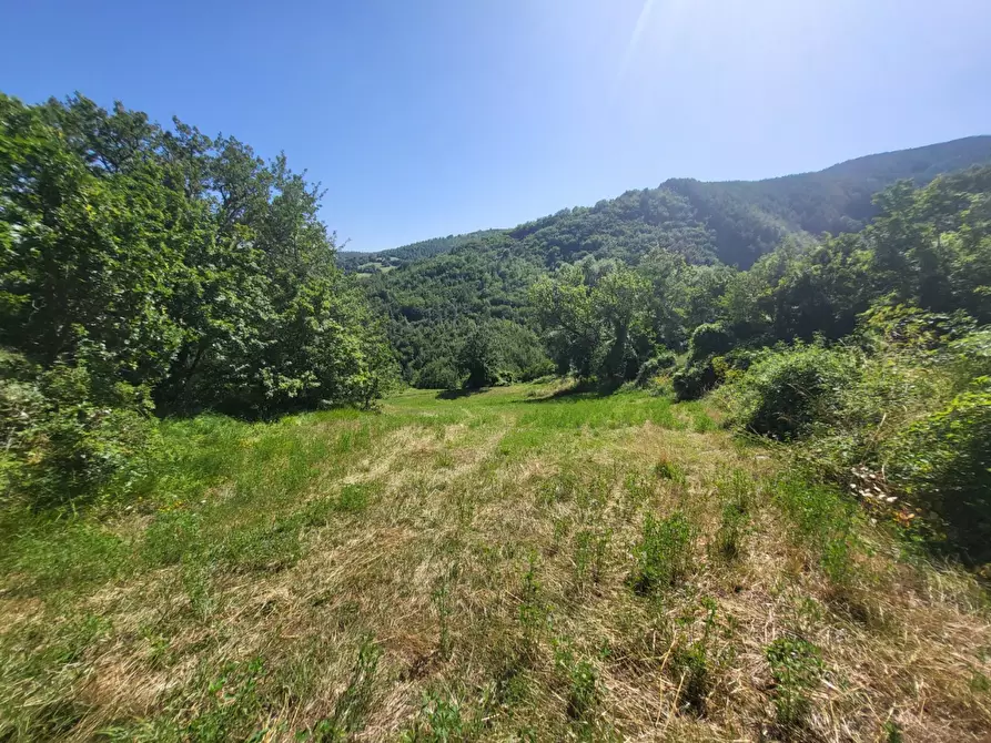 Immagine 6 di Terreno agricolo in vendita  in località compito a Chiusi Della Verna
