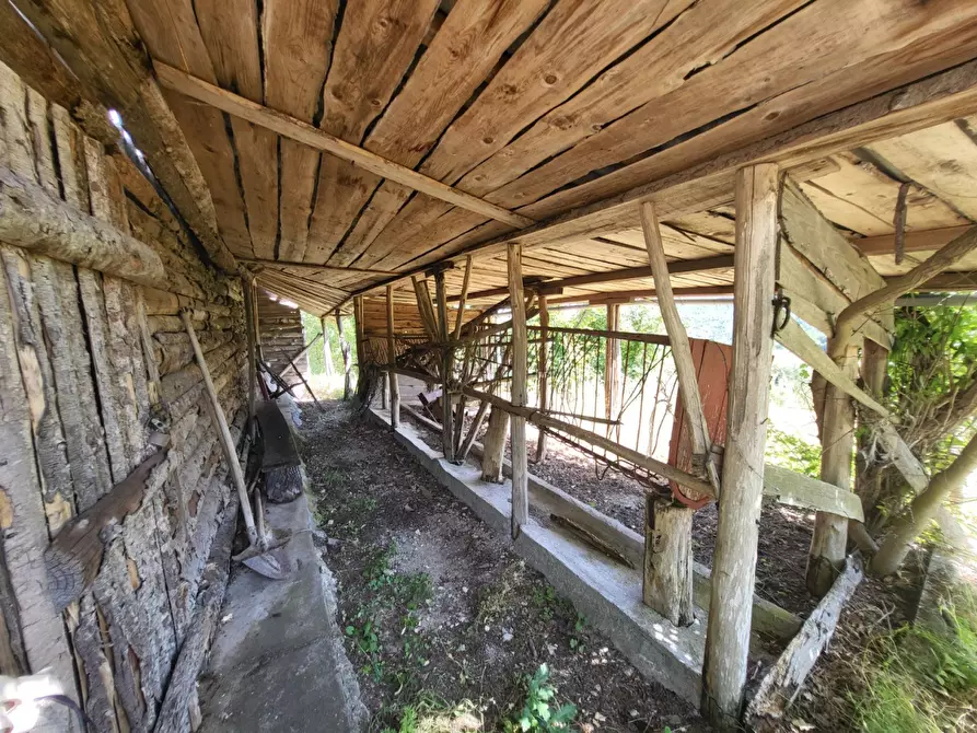 Immagine 7 di Terreno agricolo in vendita  in località compito a Chiusi Della Verna