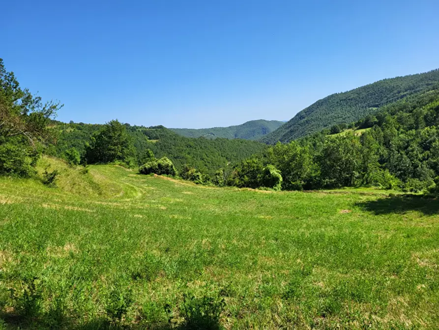 Immagine 8 di Terreno agricolo in vendita  in località compito a Chiusi Della Verna