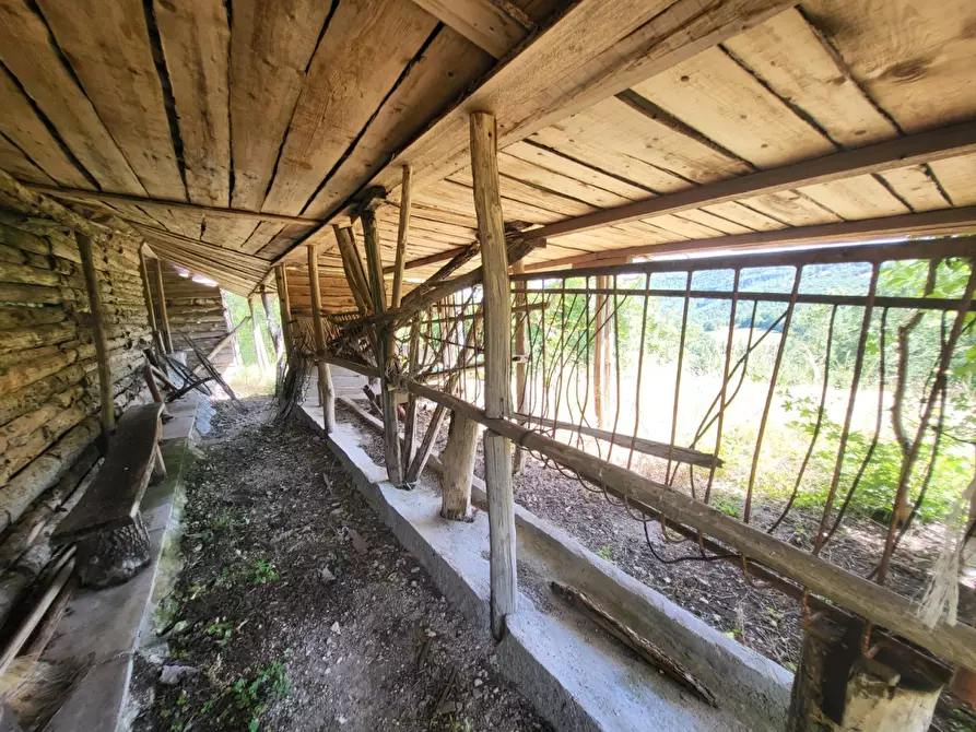 Immagine 9 di Terreno agricolo in vendita  in località compito a Chiusi Della Verna