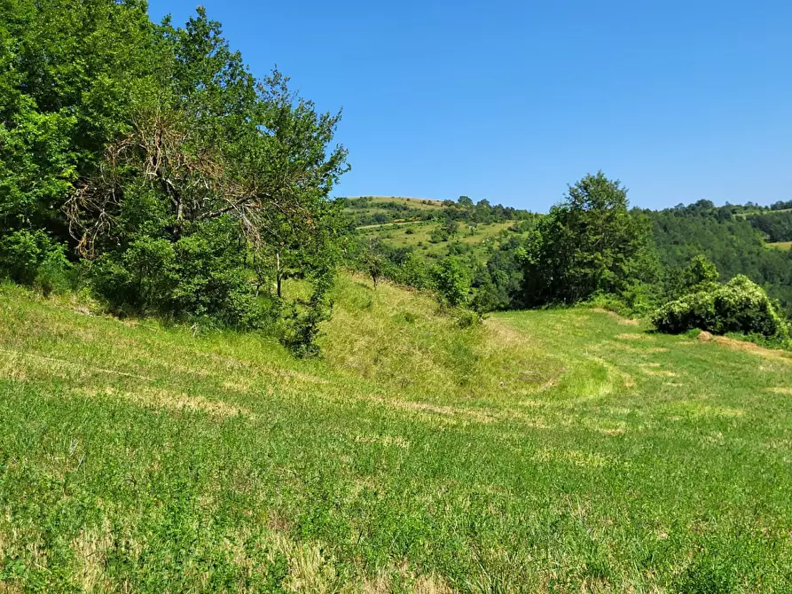 Immagine 10 di Terreno agricolo in vendita  in località compito a Chiusi Della Verna