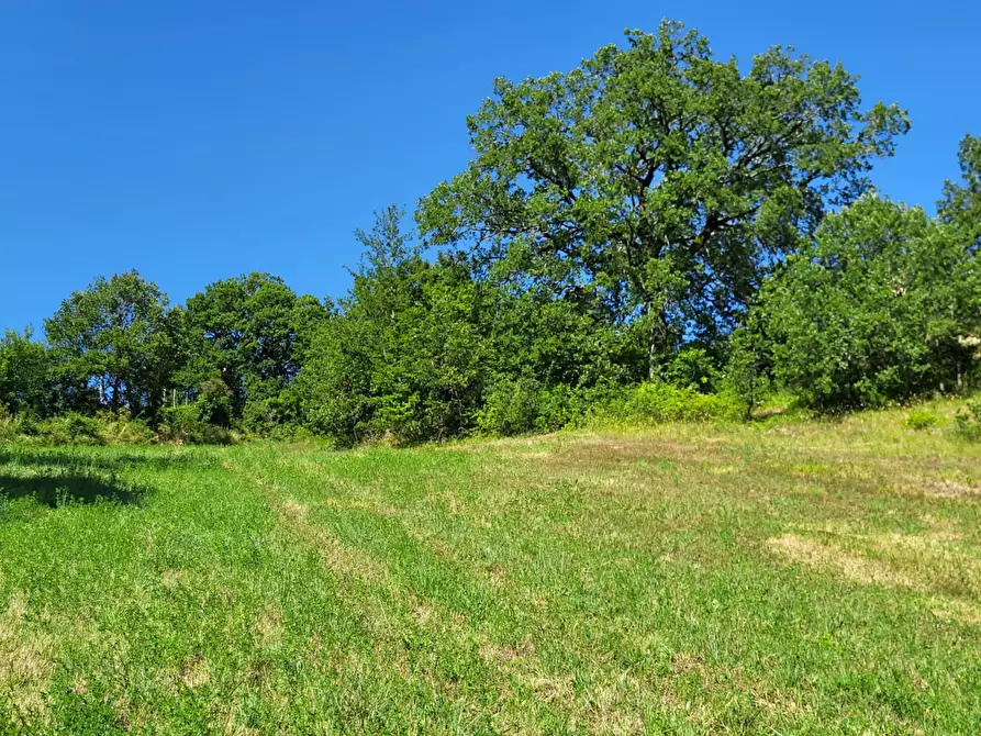 Immagine 11 di Terreno agricolo in vendita  in località compito a Chiusi Della Verna