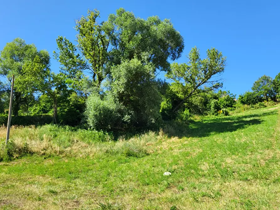 Immagine 13 di Terreno agricolo in vendita  in località compito a Chiusi Della Verna