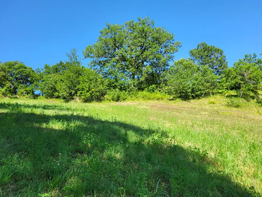 Immagine 14 di Terreno agricolo in vendita  in località compito a Chiusi Della Verna