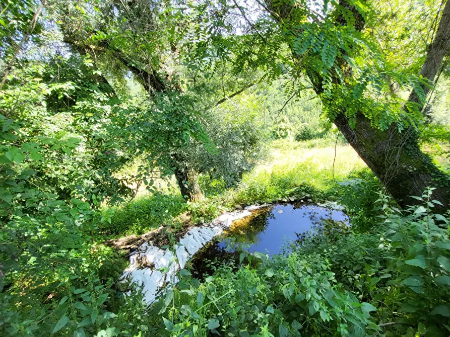 Immagine 15 di Terreno agricolo in vendita  in località compito a Chiusi Della Verna