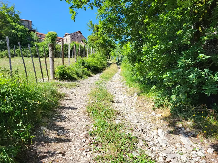 Immagine 16 di Terreno agricolo in vendita  in località compito a Chiusi Della Verna
