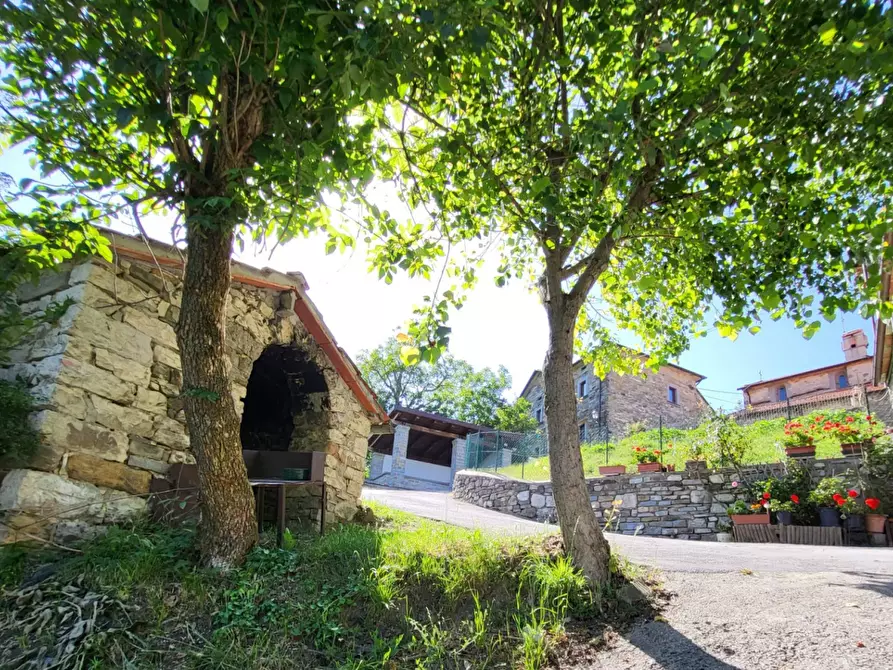 Immagine 17 di Terreno agricolo in vendita  in località compito a Chiusi Della Verna