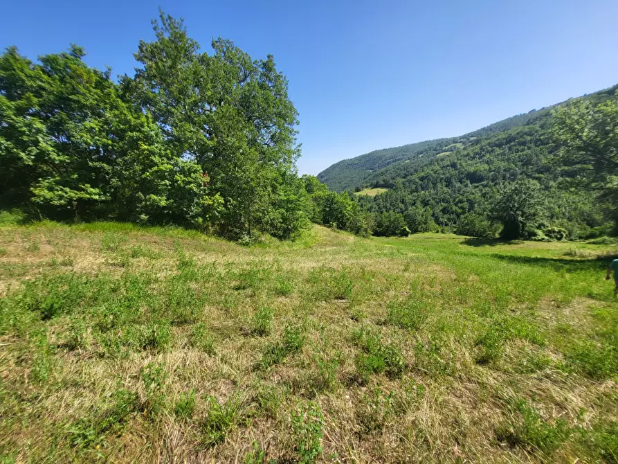 Immagine 18 di Terreno agricolo in vendita  in località compito a Chiusi Della Verna