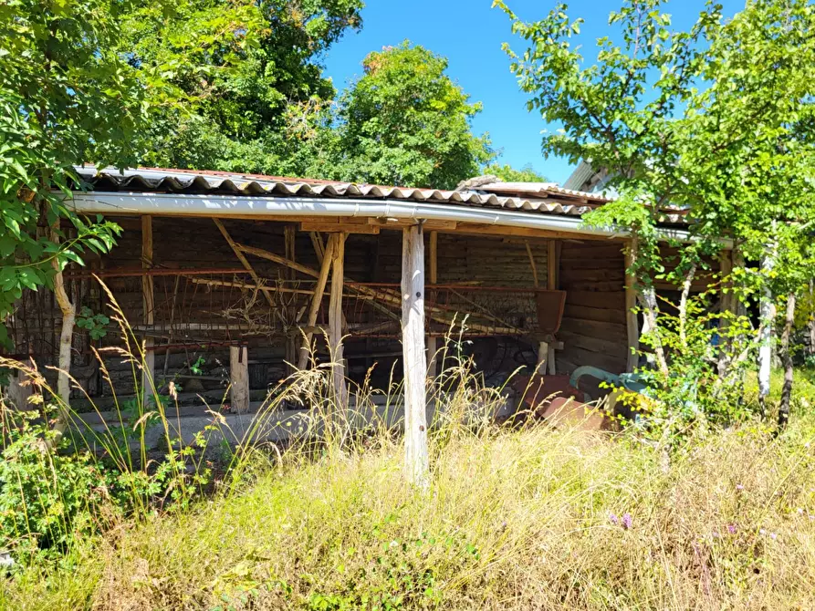 Immagine 19 di Terreno agricolo in vendita  in località compito a Chiusi Della Verna