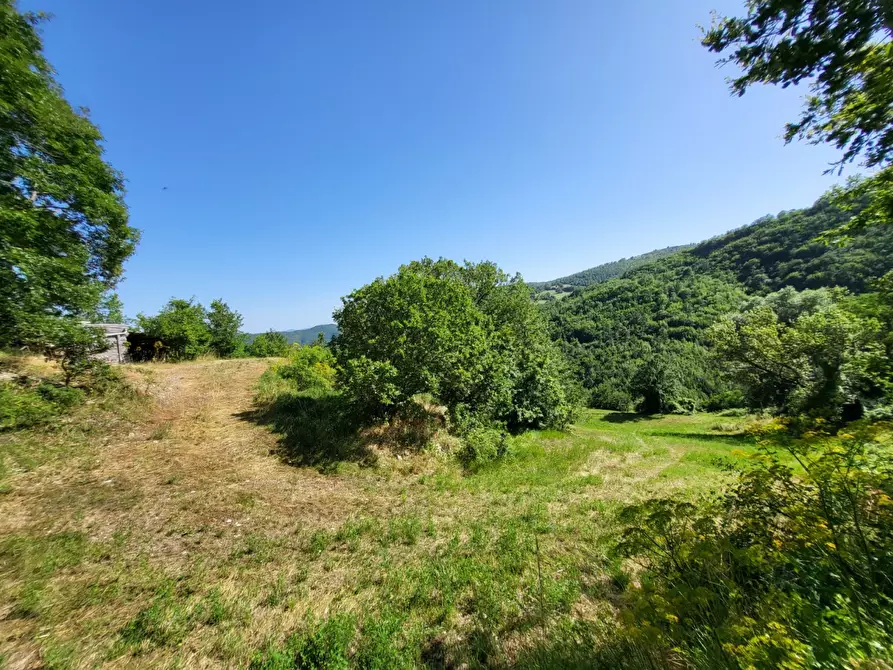 Immagine 20 di Terreno agricolo in vendita  in località compito a Chiusi Della Verna
