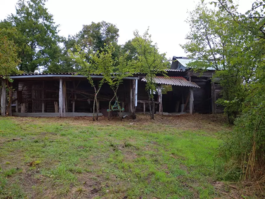 Immagine 21 di Terreno agricolo in vendita  in località compito a Chiusi Della Verna