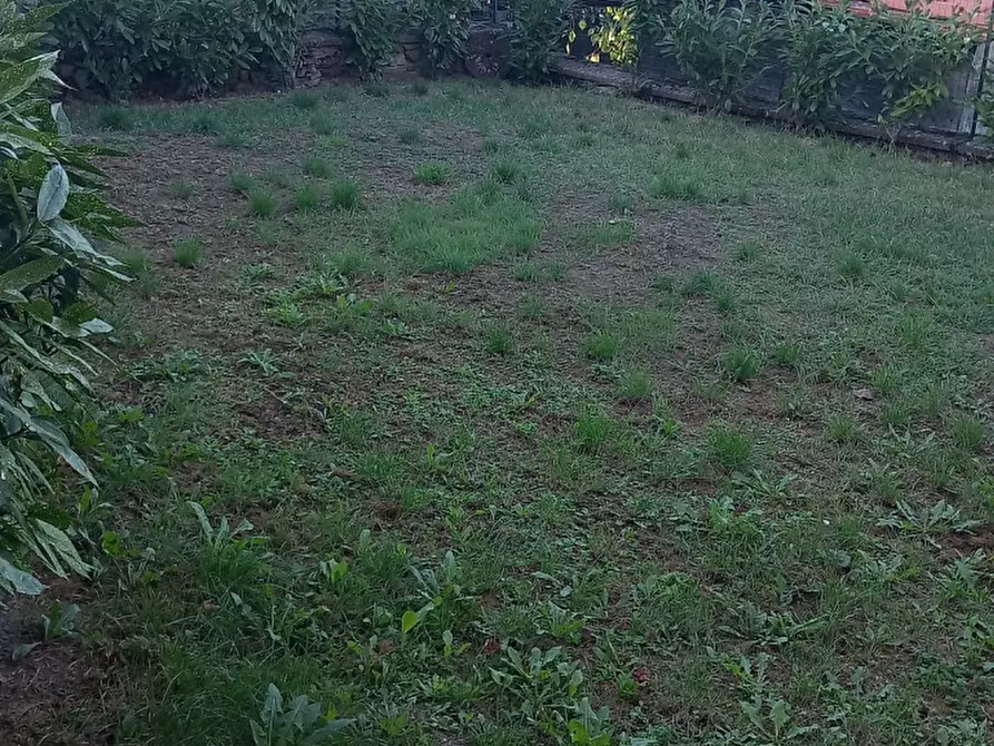 Immagine 3 di Casa semindipendente in vendita  in località castello a Montemignaio