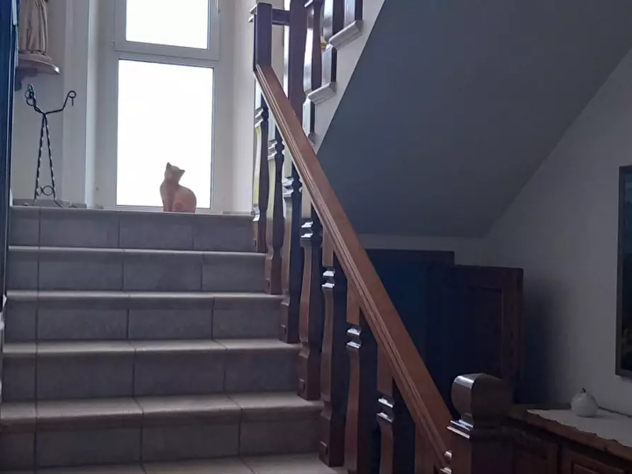 Immagine 15 di Casa semindipendente in vendita  in località castello a Montemignaio