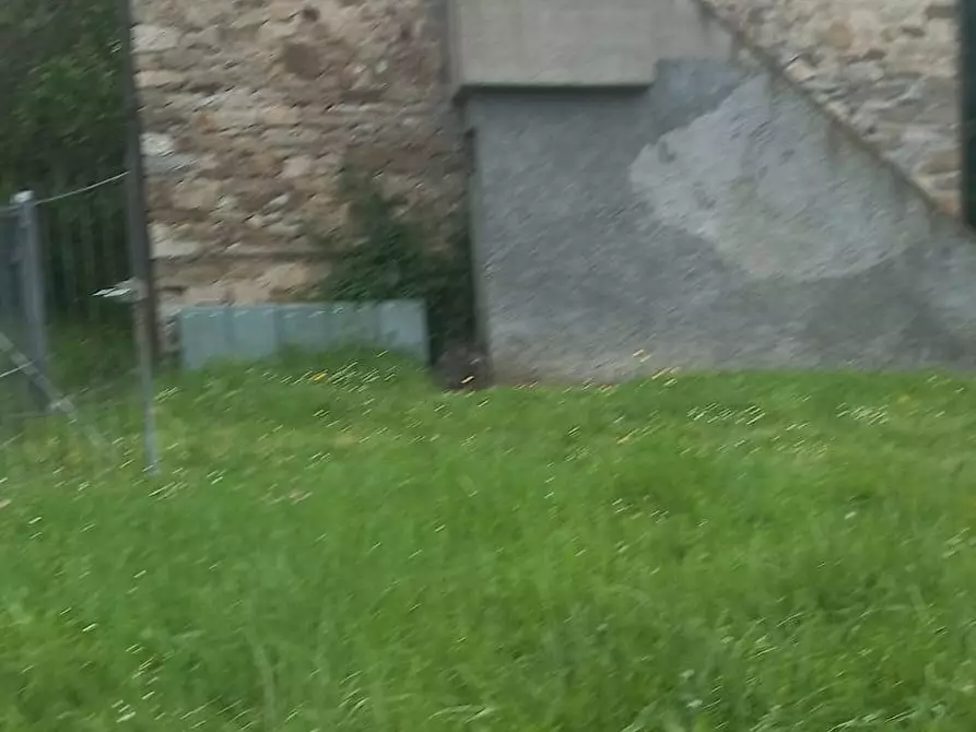 Immagine 20 di Villa in vendita  in SP 208 della Verna a Bibbiena