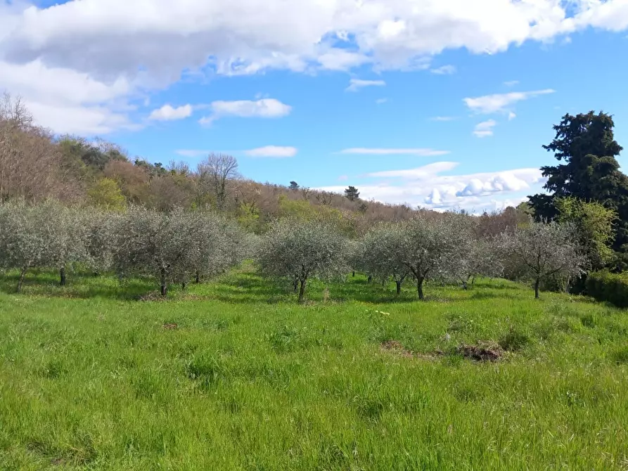 Immagine 29 di Villa in vendita  in Loc. Sant'Angelo a Montegiovi a Subbiano