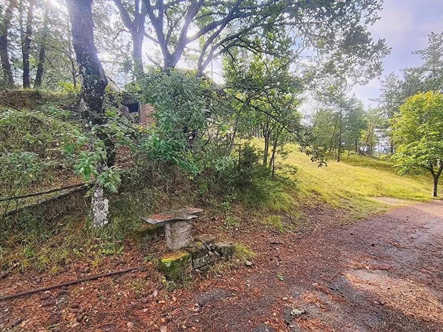Immagine 2 di Terreno agricolo in vendita  in via del Corniolo a Poppi