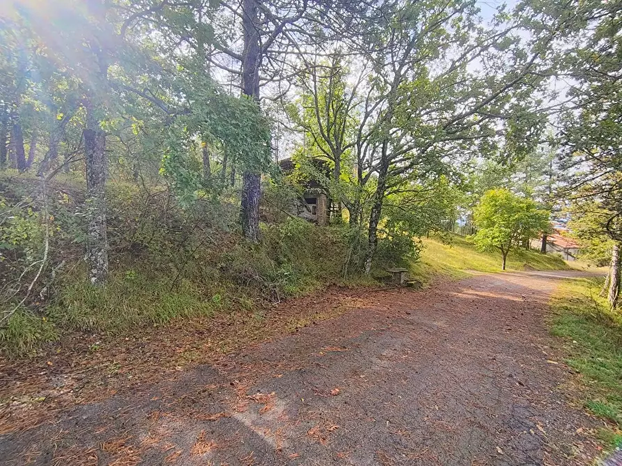 Immagine 3 di Terreno agricolo in vendita  in via del Corniolo a Poppi